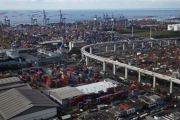 Jasa Import Cold Storage